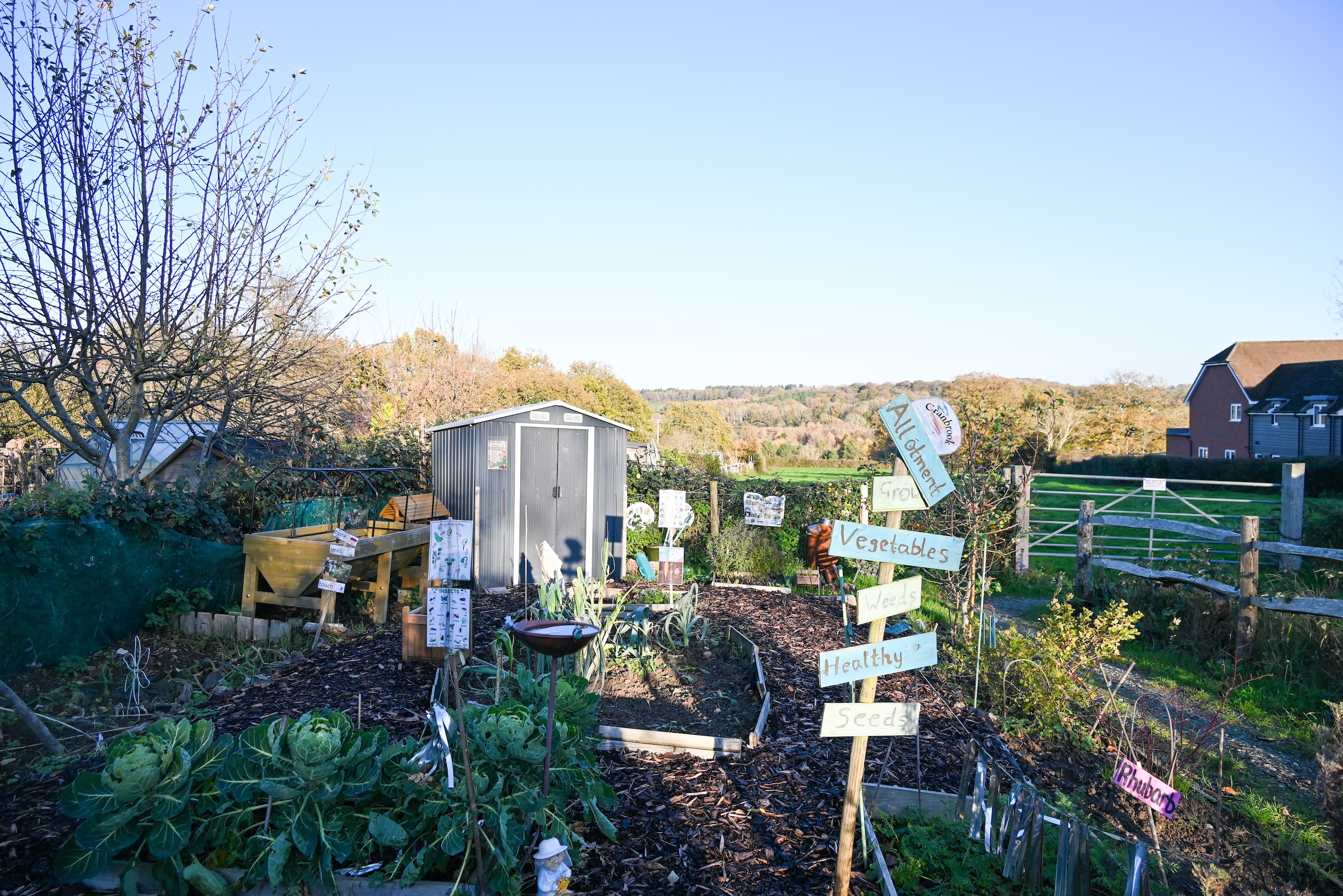 Allotment with signs and shed in countryside.